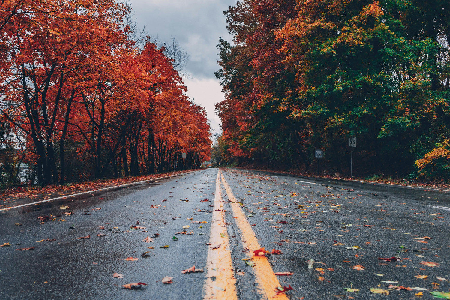 Seasonal Picks